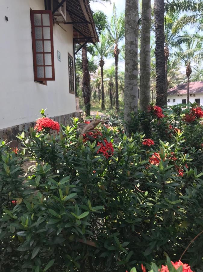 Palm Garden House Hotell Quang Tri Eksteriør bilde